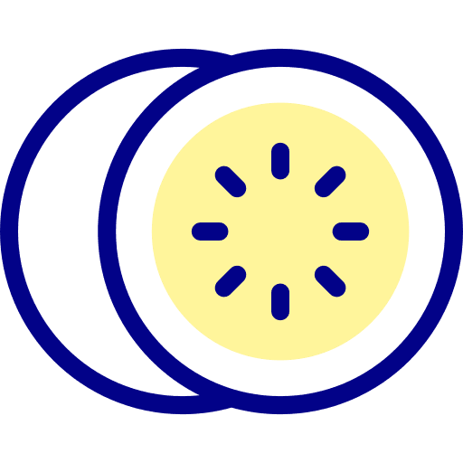 Orange fruit vegan healthcare and medical icon