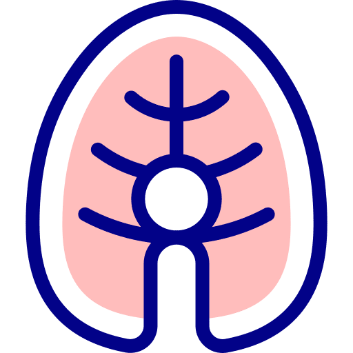 Salmon healthy food food and restaurant steak icon