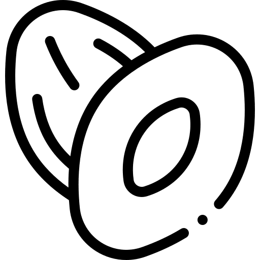 Dates eid al fitr eid mubarak muslim icon