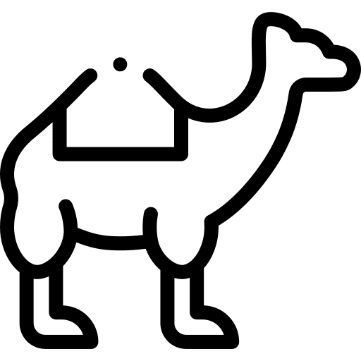 Camel zoo tropical exotic icon