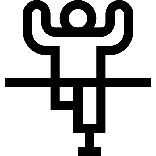 Finish line disability disabled sign icon