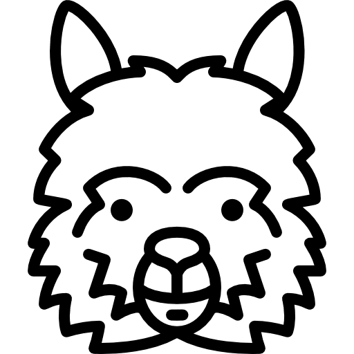 Lama head wild wildlife domestic icon