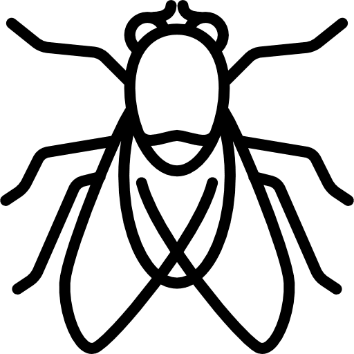 Big fly wild wildlife wings icon