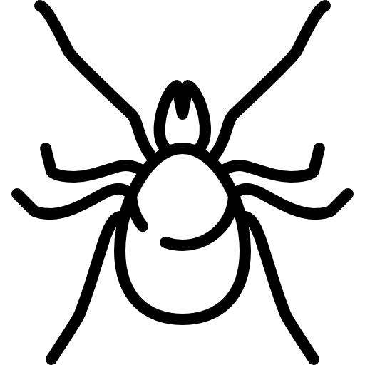 Big mite animal wildlife wild icon