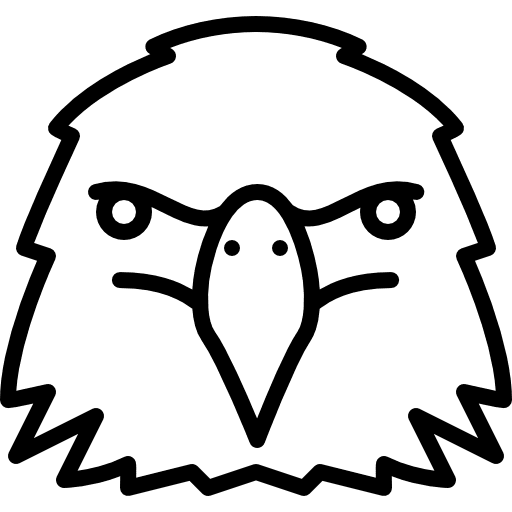 Eagle head bird animals wildlife icon