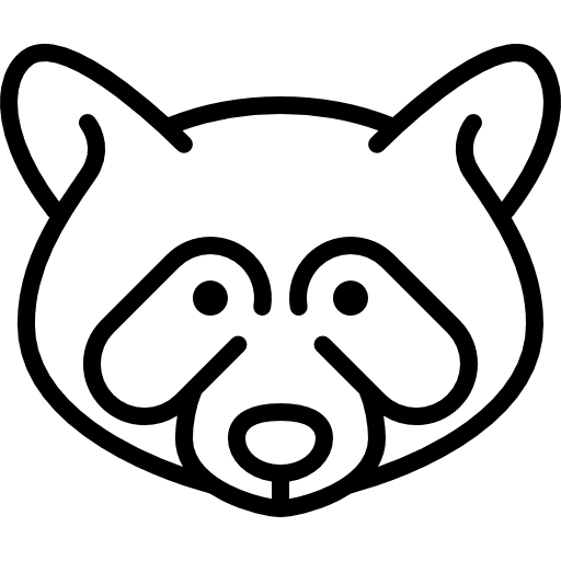 Raccoon head animal mammal wild icon