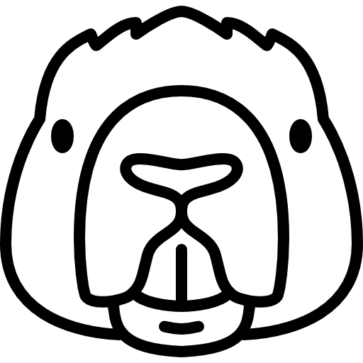 Beaver head mammal animal animals icon