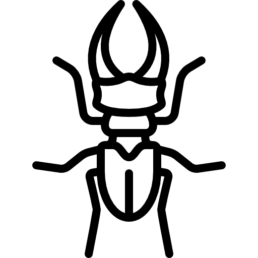 Big beetle wild insect animal icon