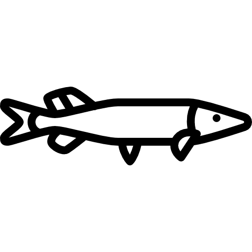 Big pike aquarium aquatic fish icon