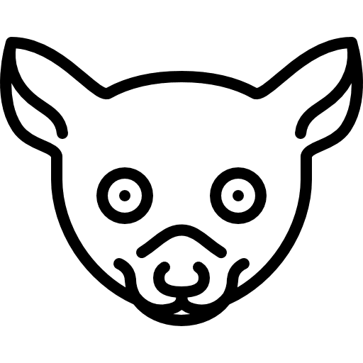 Lemur head mammal animal wild icon