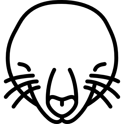 Mole head mammal animal animals icon