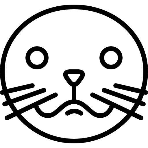 Seal head animal wild mammal icon