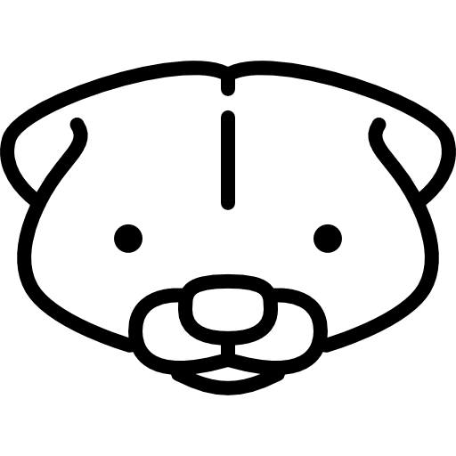 Skunk head america animals wildlife icon