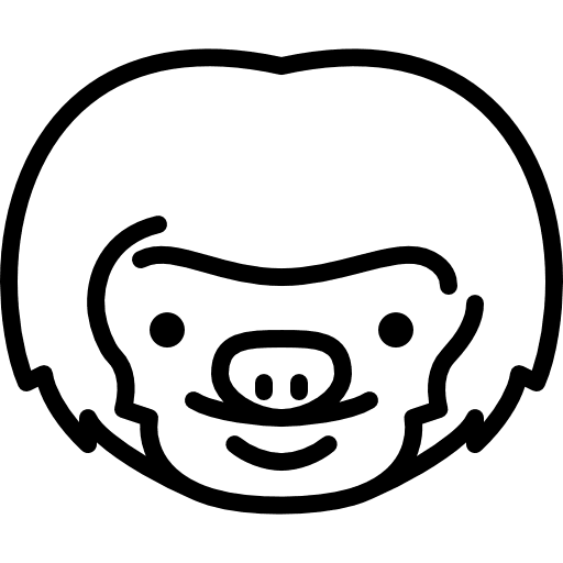 Sloth head wildlife mammal animal icon