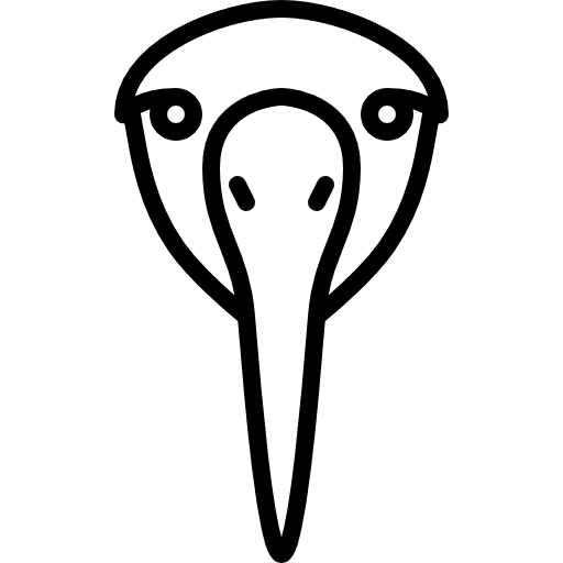 Albotros head animals pray wildlife icon