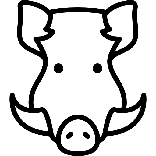 Boar head mammal savage animal icon