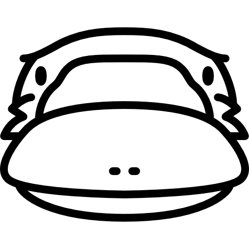 Platypus head wild wildlife mammal icon