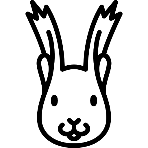 Squirrel head animal mammal animals icon