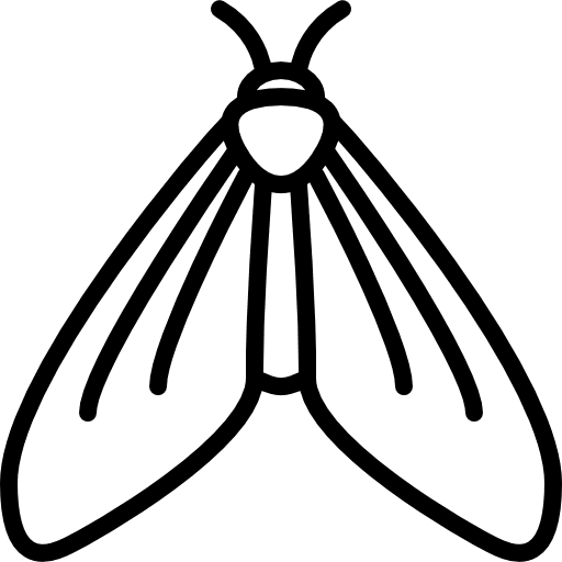 Big butterfly wings animal wild icon