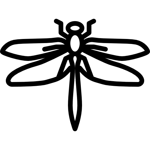 Big dragonflay wings animal insect icon