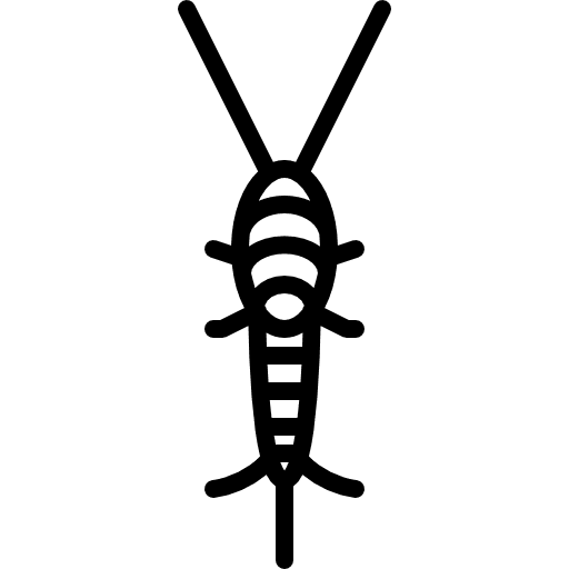 Big silverfish wildlife wild insect icon