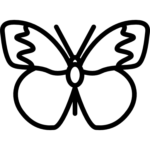 Butterfly with big wings wildlife insect animal icon