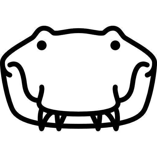 Crocodile head animal wild wildlife icon