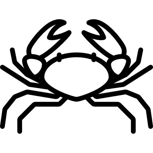 Big crab beach animal animals icon