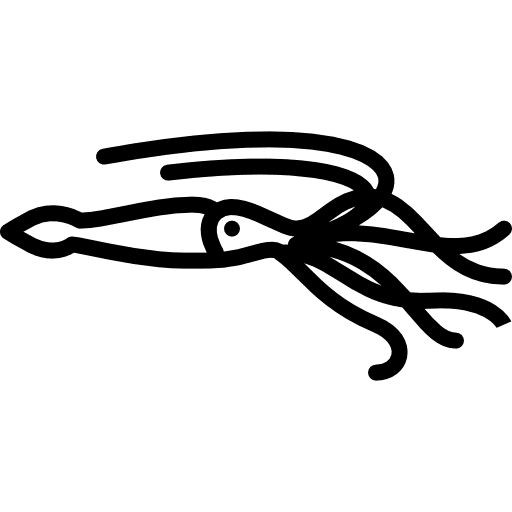 Big squid wild wildlife aquatic icon