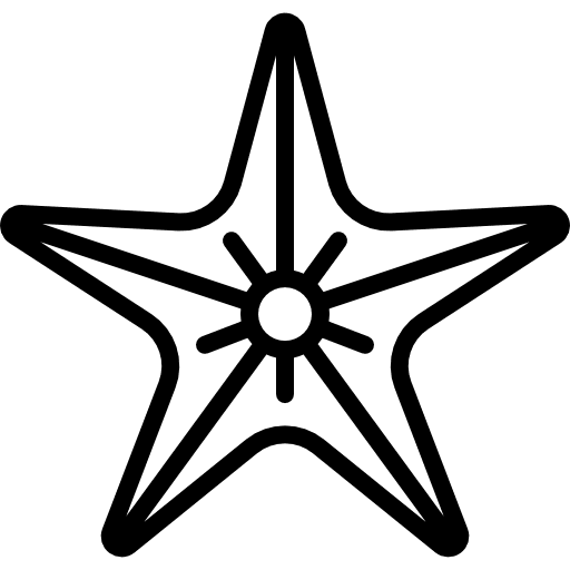 Big starfish animal wild aquarium icon