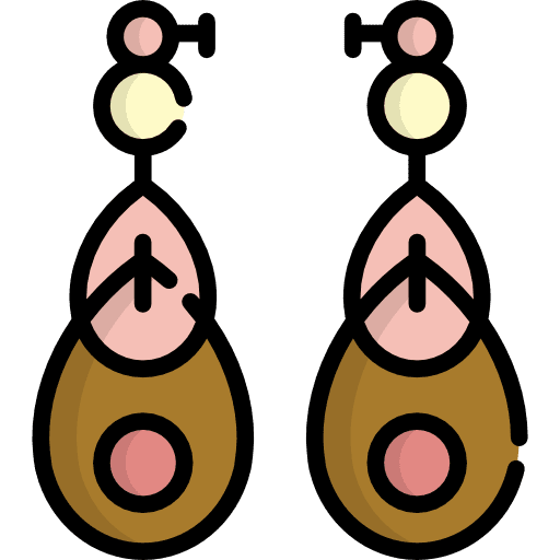 Earrings jewel fashion jewelry icon