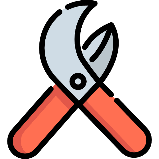 Pruners pruners gardener scissors icon