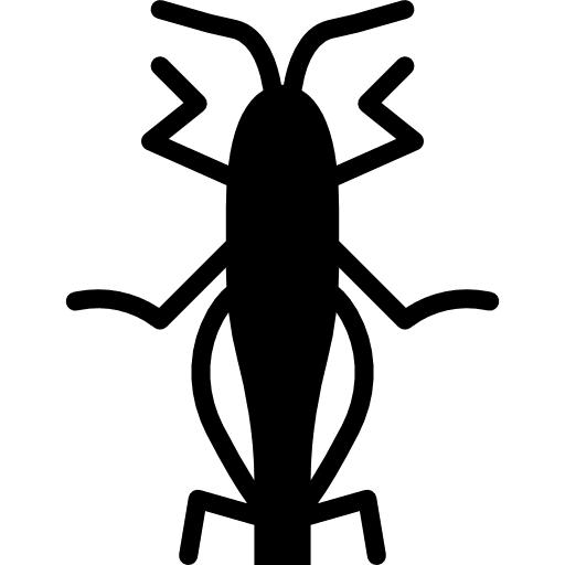 Grasshopper insects animals grasshopper icon