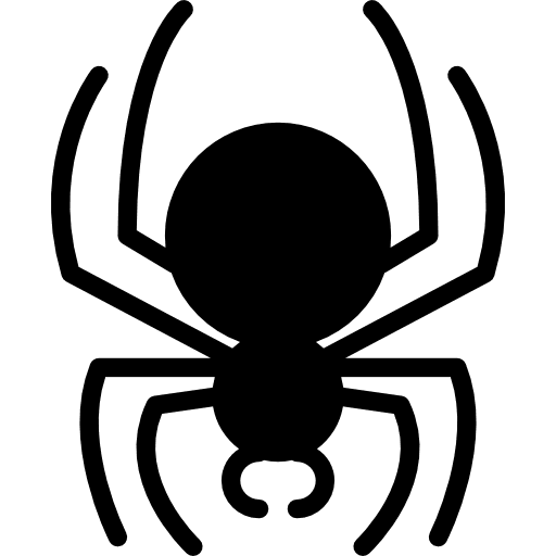 Spider spider entomology bugs icon