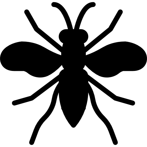 Wasp insects entomology wasp icon