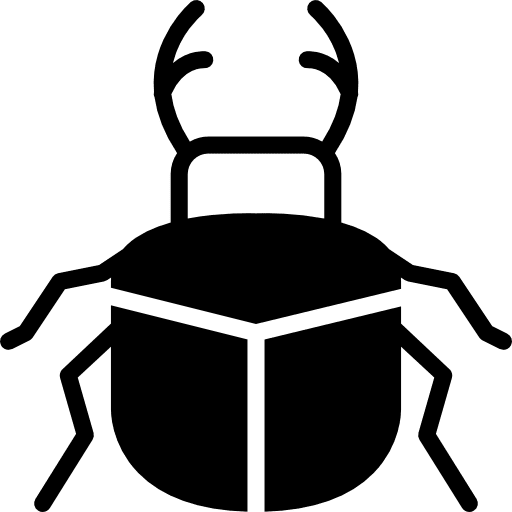 Beetle bugs animals entomology icon
