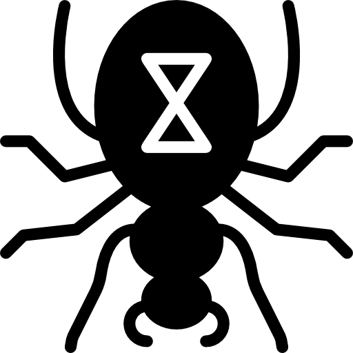 Black widow black widow arachnid entomology icon