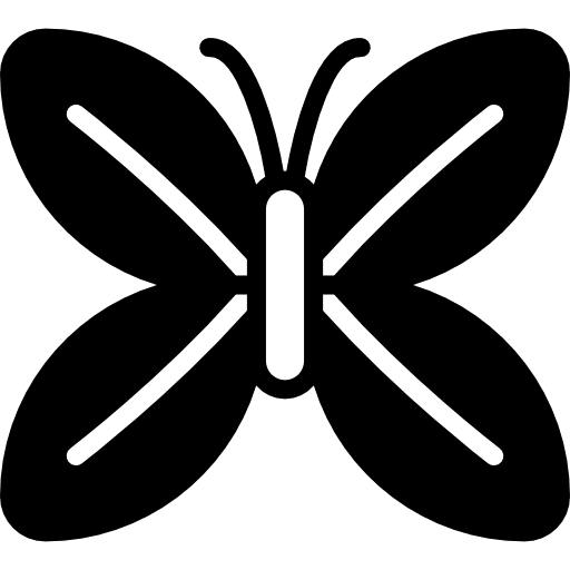 Butterfly entomology insects bugs icon