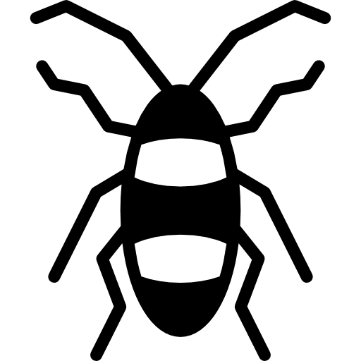 Cockroach animals bugs entomology icon