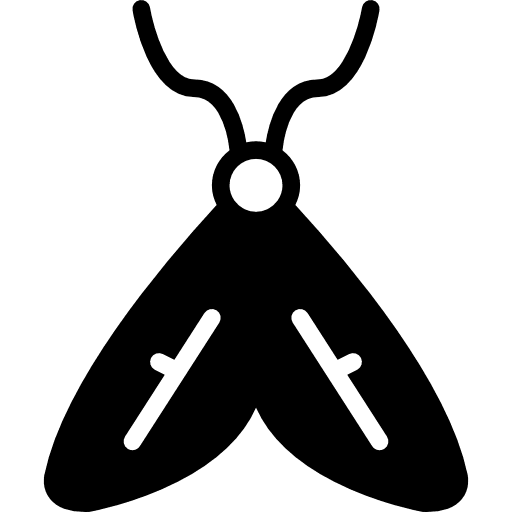 Moth bugs insects animals icon