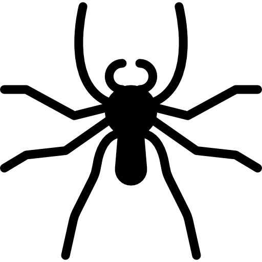 Spider insects spider bugs icon