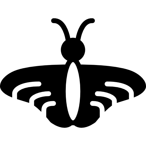 Butterfly animals bugs entomology icon