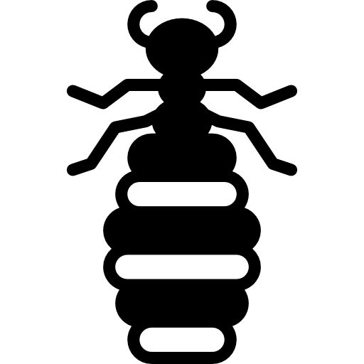 Flea animals entomology bugs icon
