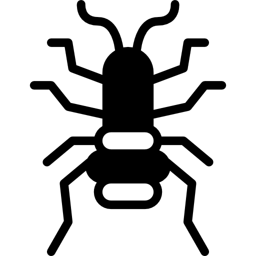 Flea entomology flea insects icon