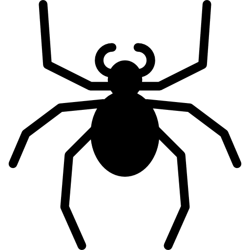 Spider entomology spider bugs icon