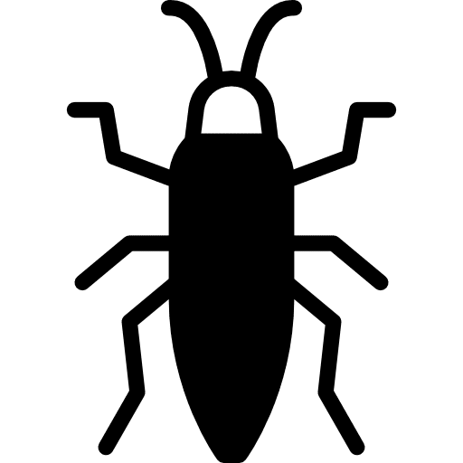 Bedbug bugs entomology animals icon