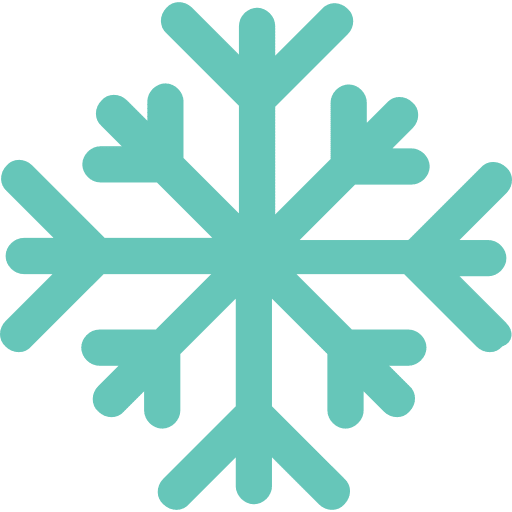 Snowflake nature snow winter icon