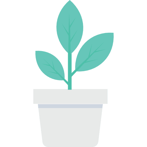 Plant leaf nature botanical icon