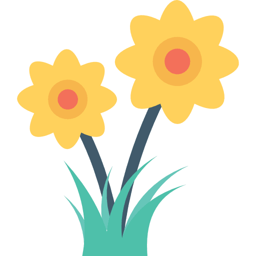 Flower petals blossom nature icon