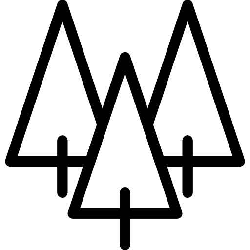 Forest yard pine forest icon